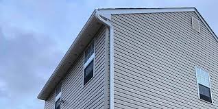 Best Custom Trim and Detailing for Siding  in Luxemburg, WI